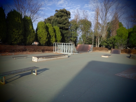 仙元山公園スケートパークの画像1