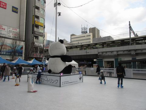 おかちまちパンダ広場シタマチ.スケートリンクの画像4